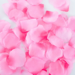 이벤트꽃잎조화(100개입)핑크