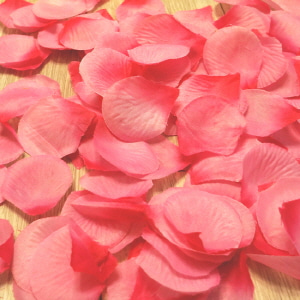 이벤트꽃잎조화(144개입)핑크